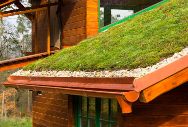 Izolacja dachu zielonego - czym ocieplić dach ekstensywny?
